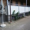 Erste Seite